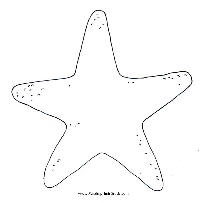 Estrella De Mar Para Imprimir Gratis Paraimprimirgratis Com