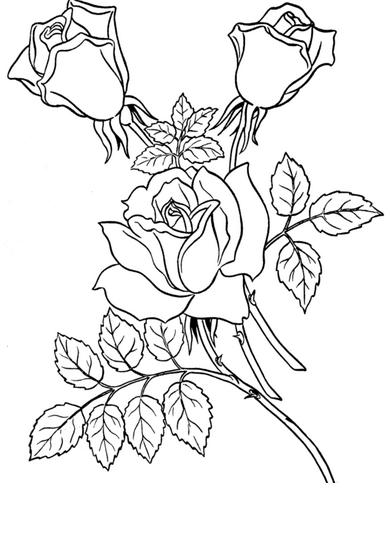 Dibujos de Rosas para Imprimir